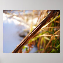 Sunny winter poster