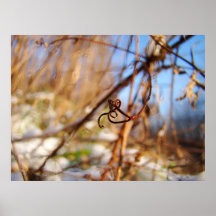 Sunny winter print