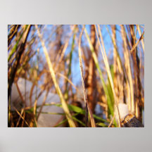 Sunny winter print