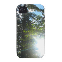 Sunny Woods iPhone 4/4S Covers