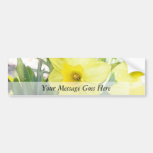 Sunny Yellow Daffodil Bumper Stickers