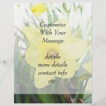 Sunny Yellow Daffodil Full Color Flyer