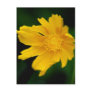 Sunny yellow flower and its meaning post cards