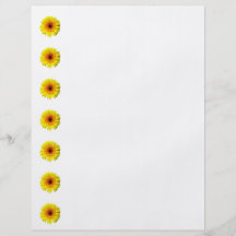 Sunny Yellow Gerbera Daisy Flyer Design