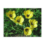 sunny yellow tulips postcards
