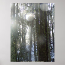 Sunrays  in the Falling Snow Posters