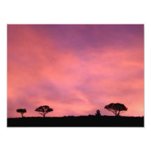 Sunrise2 Art Photo