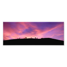 sunrise3 photograph