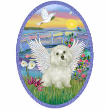 Sunrise and Maltese Angel Photo Cutout