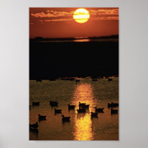 Sunrise at Blackwater National Wildlife Refuge Print