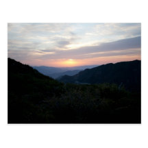 Sunrise at Penny Pines Postcard