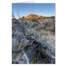 Sunrise at Squaw Creek, Owyhee County, ID Greeting Card