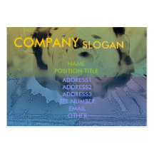 Sunrise Business Card