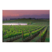 Sunrise colour in the distant fog behind art photo