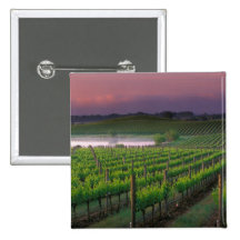 Sunrise colour in the distant fog behind pinback button