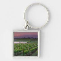 Sunrise colour in the distant fog behind key chains
