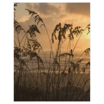 Sunrise Flyer Design