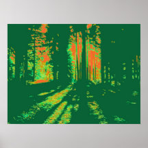 SUNRISE IN THE WOODS -  GREEN POSTER