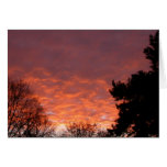 Sunrise - January 2003 Greeting Cards