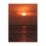 Sunrise on the Mosquito Lagoon Postcard
