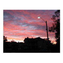 Sunrise over Centennial Park, Sydney Post Cards