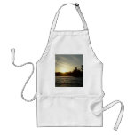 Sunrise over Mississippi river aprons