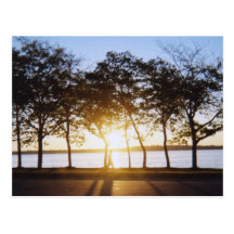 Sunrise Postcard