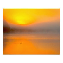 Sunrise Shining on Two Ducks Swimming Photo Art