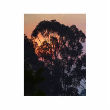 Sunrise Smokey Hazy Acrylic Cut Out
