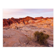 Sunrise Solitude Postcard