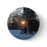 Sunrise Through Branches Buttons