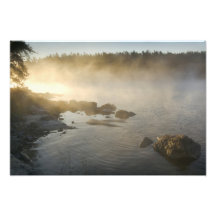 Sunrise through fog in Anderson Bay, Rainy Photograph