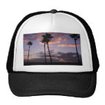 Sunrises Palm Trees Hat