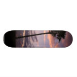 Sunrises Palm Trees Skate Deck