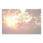 Sun's last light, in mist and trees, Australia Stationery Paper