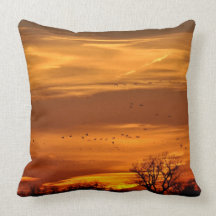 Sunset American MoJo Pillow
