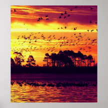 Sunset and Birds Posters