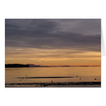 Sunset and Sea Birds Card