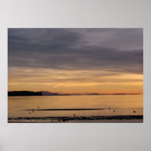 Sunset and Sea Birds Poster