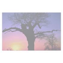 Sunset and tree, Richmond Park, London, England Personalized Stationery