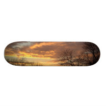 Sunset and trees skateboard