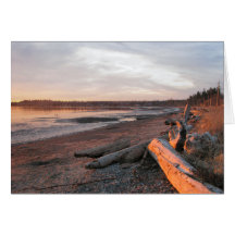 Sunset at Birch Bay Cards