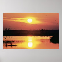 Sunset at Blackwater National Wildlife Refuge Posters