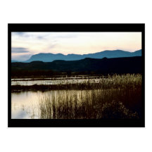 Sunset at Bosque del Apache Postcard
