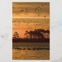 Sunset at Chincoteague Wildlife Refuge Virginia Flyers