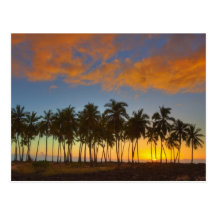 Sunset at National Historic Park Pu'uhonua o Postcard