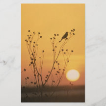 Sunset at Tewaukon National Wildlife Refuge Personalized Flyer