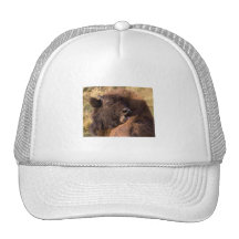 Sunset Bathing Mesh Hat