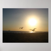 Sunset Beach Seagulls Print