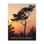 Sunset Bethany Postcard